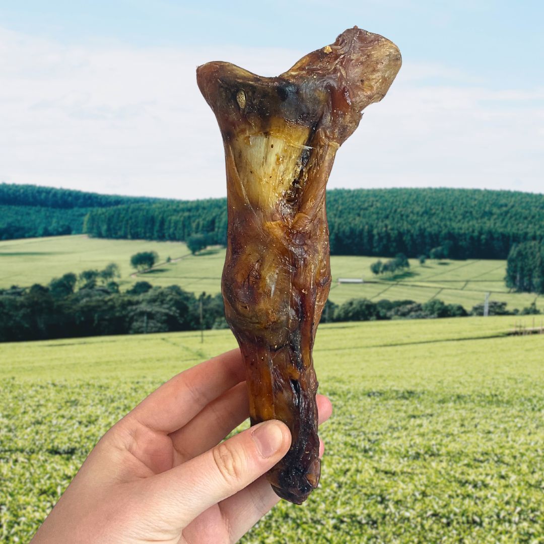 Ostrich Foot Large – High-Protein Low-Fat Dog Chew