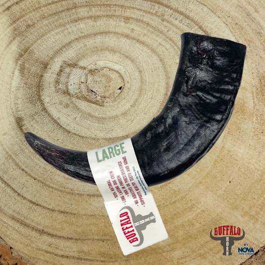 Buffalo Horn Large – Natural Long-Lasting Dog Chew