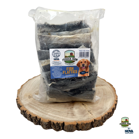 Fish Flatties 1kg – Natural Grain-Free Dog Treats