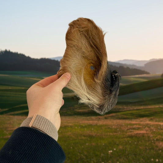 Hairy Cow Ears – Hypoallergenic Dental Care Chews