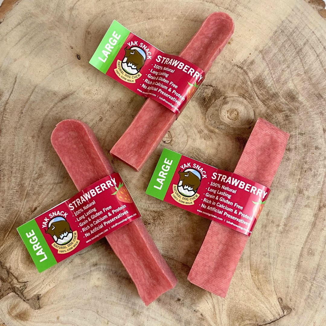 Yak Snack Strawberry Large – Natural Himalayan Dog Chew