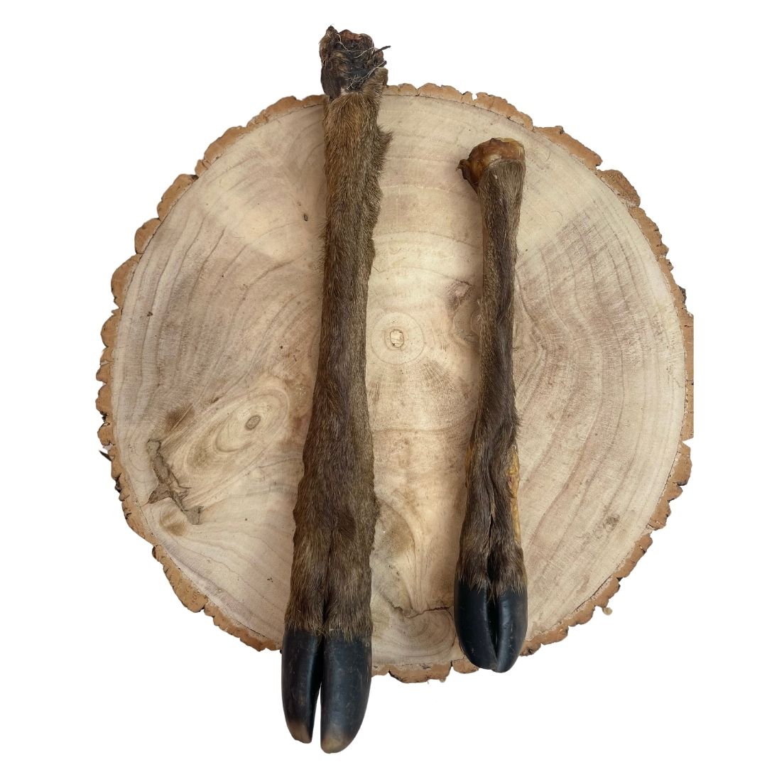 Hairy Deer Legs – Natural Long-Lasting Dog Chews