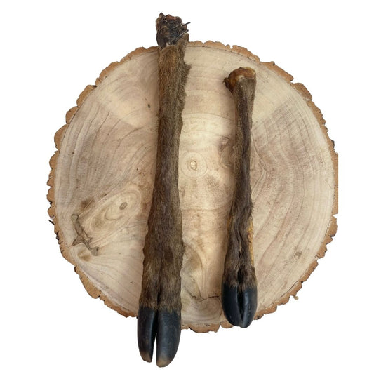 Hairy Deer Legs – Natural Long-Lasting Dog Chews
