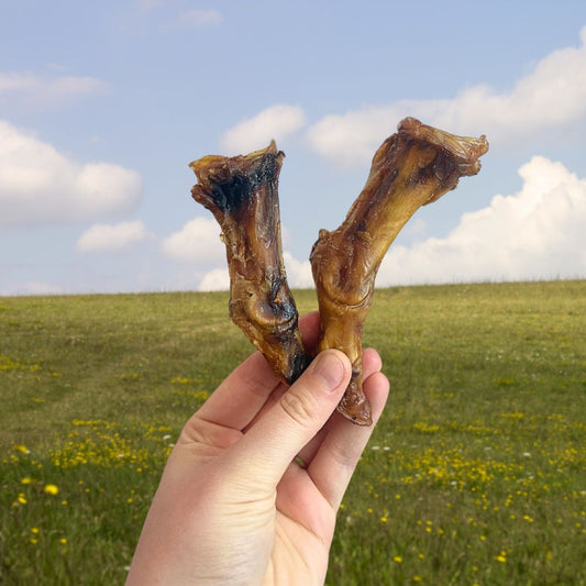 Ostrich Foot Small – Natural Novel Protein Dog Chew