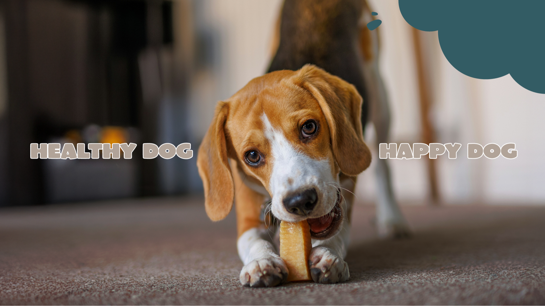 Grain-Free Dog Treats
