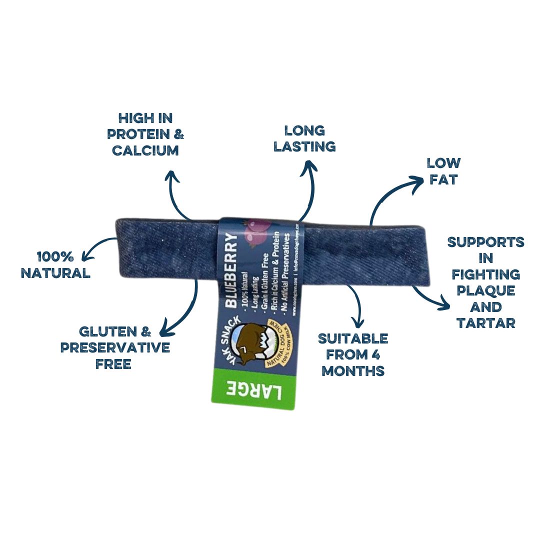 Yak Snack Blueberry Large – Natural Himalayan Dog Chew