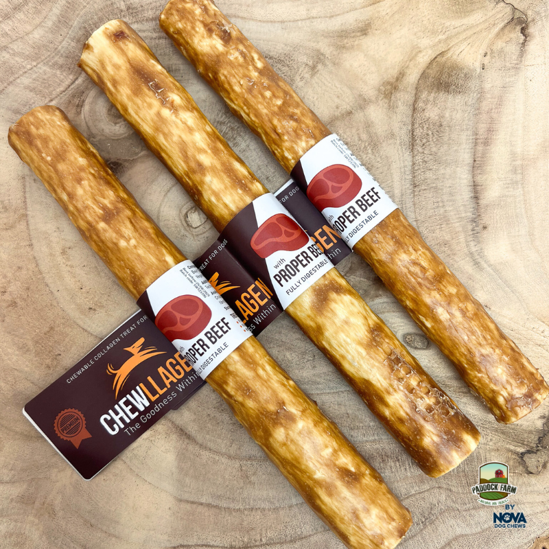 Chewllagen roll
