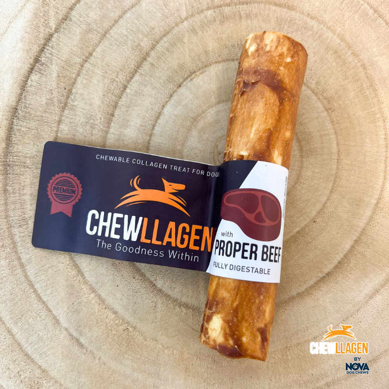 Chewllagen roll