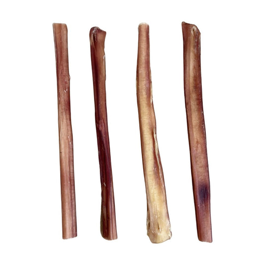 Bull Pizzle 24cm – Natural Long-Lasting Dog Chew