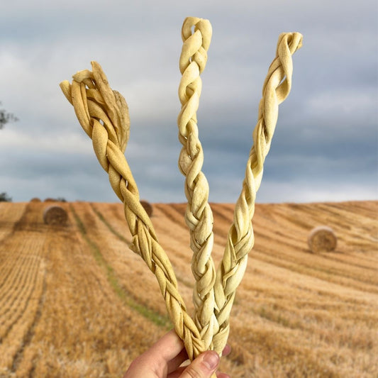 Lamb Skin Braided 30cm – Natural Hypoallergenic Dog Chew