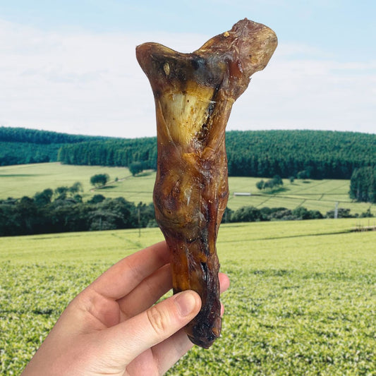 Ostrich Foot Large – High-Protein Low-Fat Dog Chew